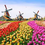 Dormio Water Medemblik *