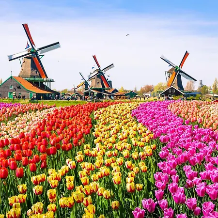 Dormio Medemblik *