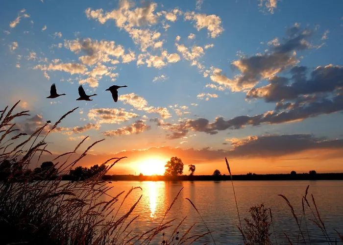 Dormio Water Medemblik Курортный комплекс Opperdoes